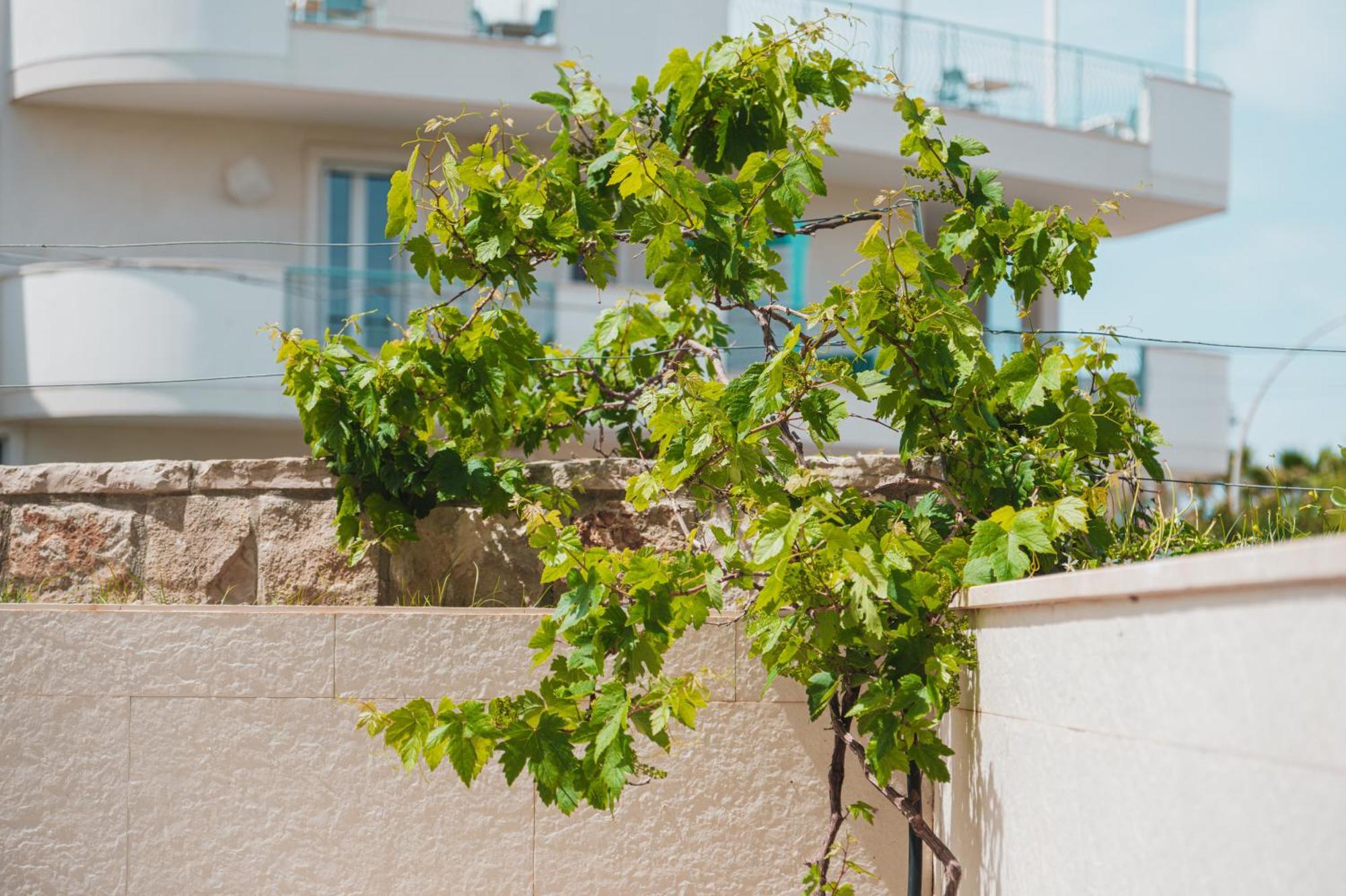 La Casa Di Dodo Apartment Polignano a Mare Exterior photo